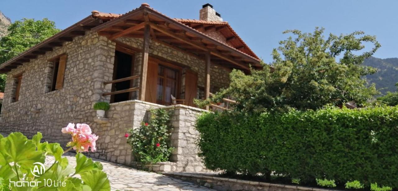 Petrina Theohari Villa Lekhouri Ngoại thất bức ảnh